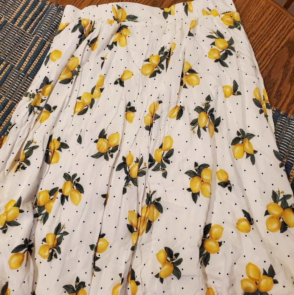 Torrid Skirt